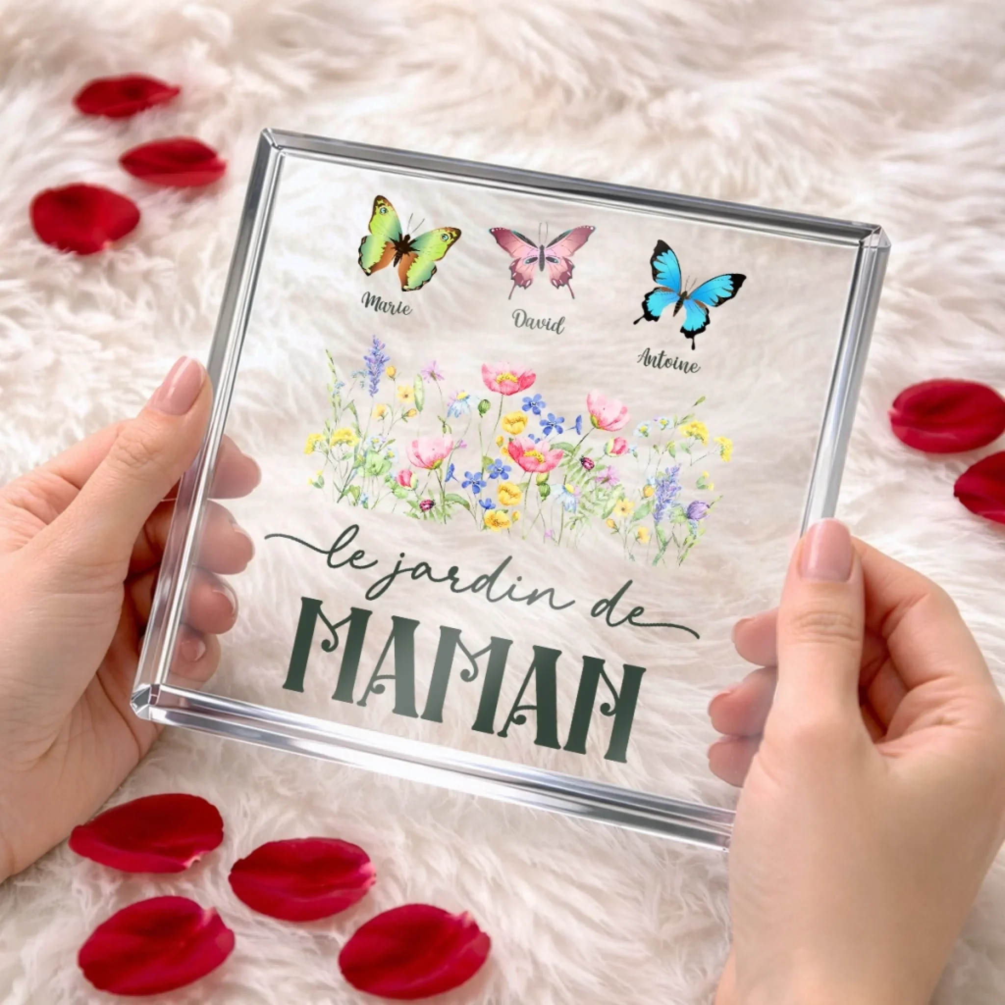 Miniature 5